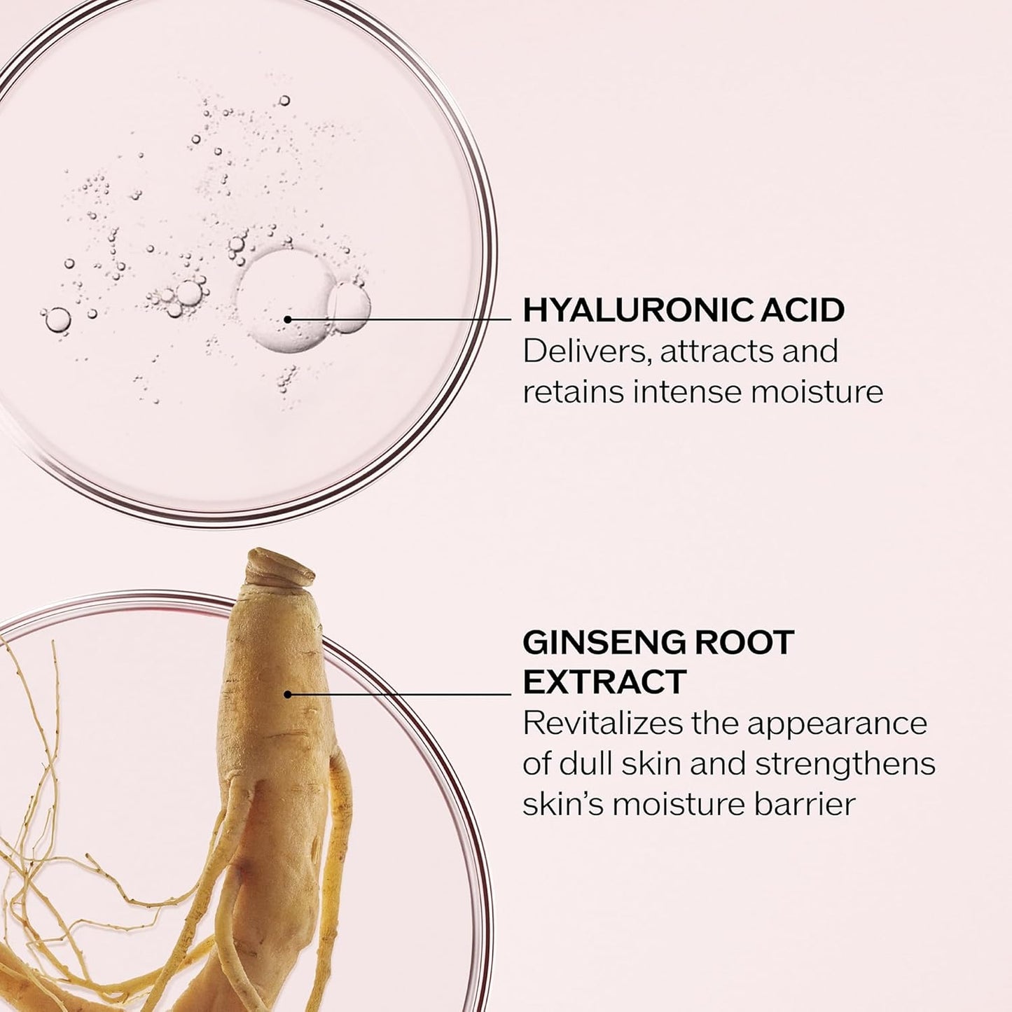 Shiseido Essential Energy Hydrating Cream - Visibly Reduces the Look of Pores & Fine Lines With Hyaluronic Acid 24-Hour Hydration Vegan All Skin Types