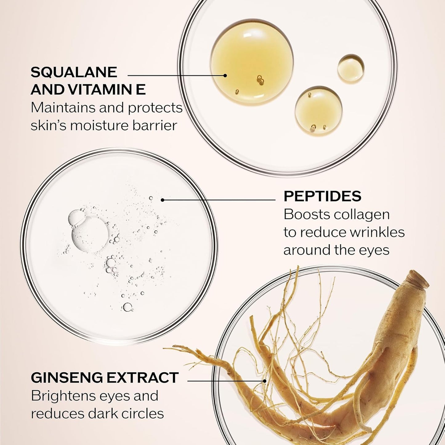 Shiseido Benefiance Wrinkle Smoothing Eye Cream - 15 mL - Visibly Improves Five Types of Eye Wrinkles, Dark Circles & Puffiness - 48-HR Hydration - All Skin Types - Non-Comedogenic